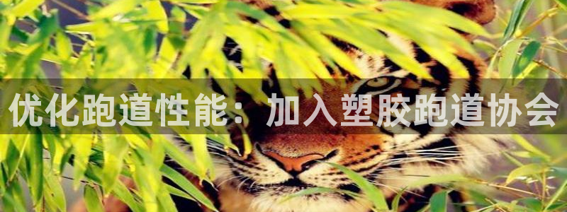 百度红足一1是干什么的