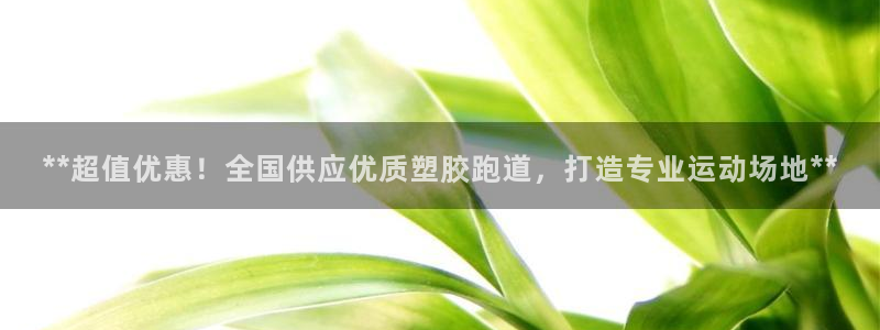 红足1世开奖预测：**超值优惠！全国供应优质塑胶跑道，打造专业运动场地**