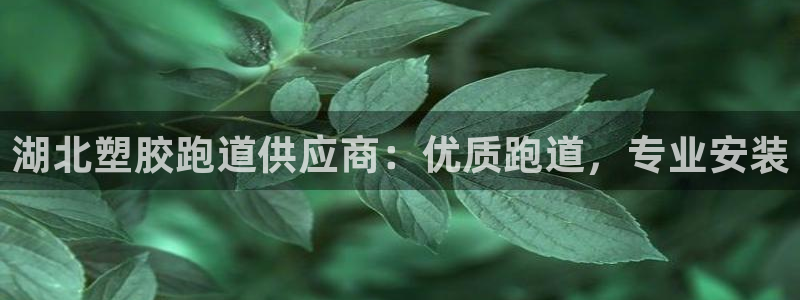 红足1一世