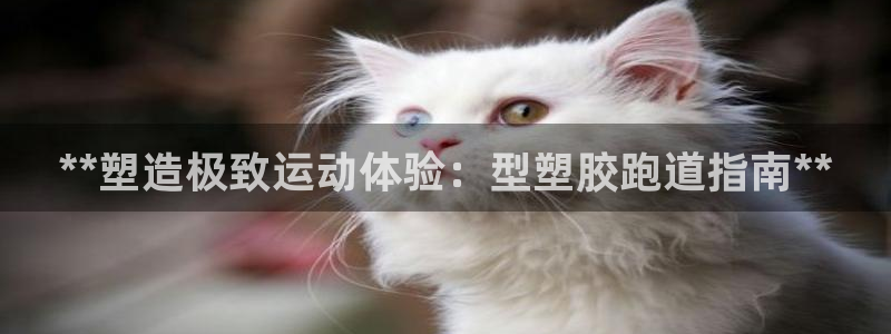 红足一1世手机版新皇冠