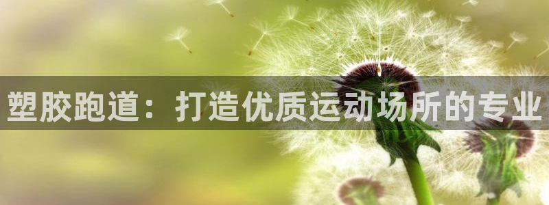 红足一1世666814最新结果：塑胶跑道：打造优质运动场所的专业