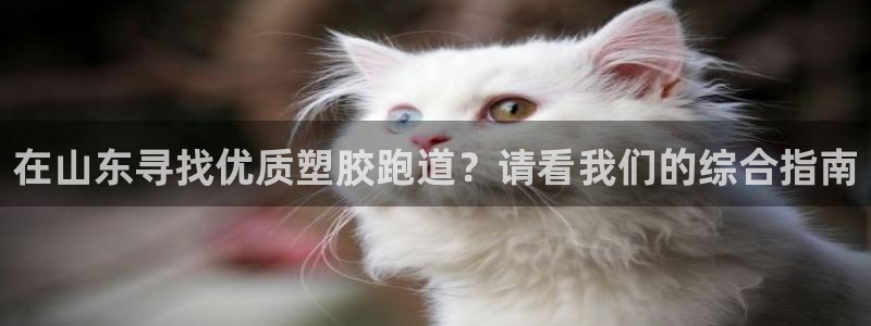 777814红·足一世比分