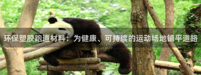 红足一1世皇冠：环保塑胶跑道材料：为健康、可持续的运动场地铺平道路
