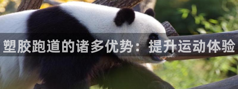 百度红足一1是为什么：塑胶跑道的诸多优势：提升运动体验