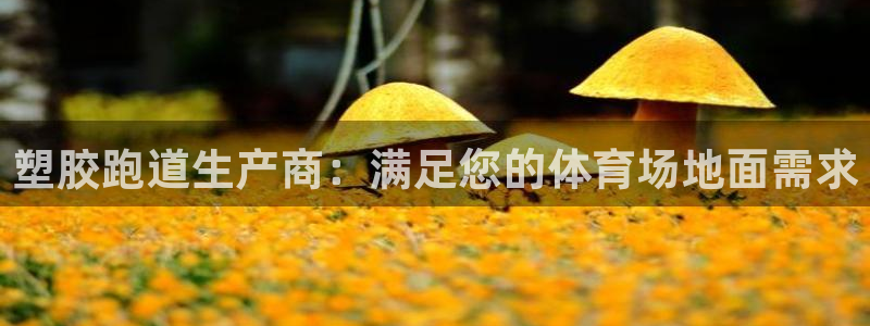 新2足球平台出租网站：塑胶跑道生产商：满足您的体育场地面需求