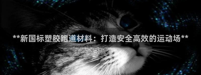 红足1世足球比分：**新国标塑胶跑道材料：打造安全高效的运动场**