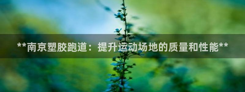 红足1世足球比分网址