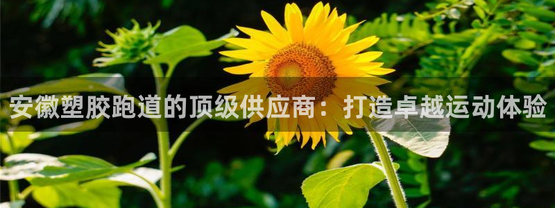 红姐现场直播开奖记录：安徽塑胶跑道的顶级供应商：打造卓越运动体验