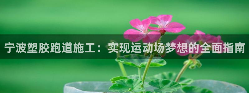 777814红·足一世比分