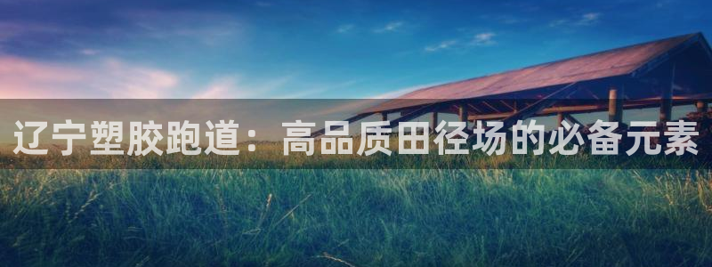红足一1世平台：辽宁塑胶跑道：高品质田径场的必备元素