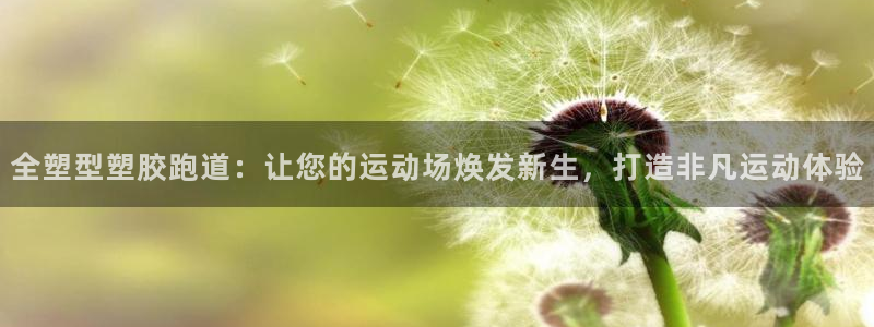 新2足球平台出租网站