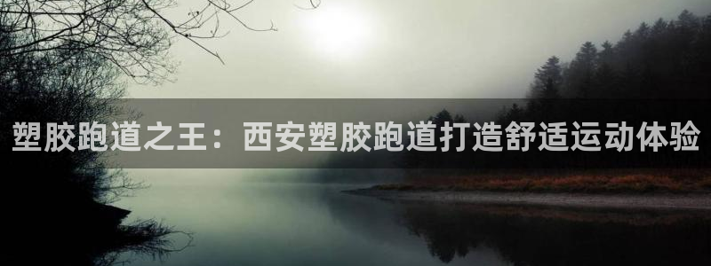 红足1一世：塑胶跑道之王：西安塑胶跑道打造舒适运动体验