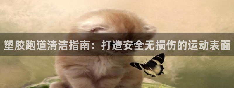 红足一1世比分网：塑胶跑道清洁指南：打造安全无损伤的运动表面