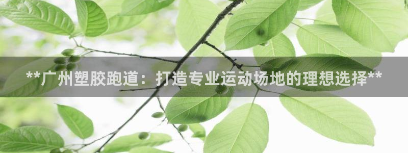 红足1世1站2站管理网：**广州塑胶跑道：打造专业运动场地的理想选择**