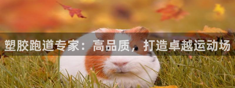 红足1一世 2站：塑胶跑道专家：高品质，打造卓越运动场