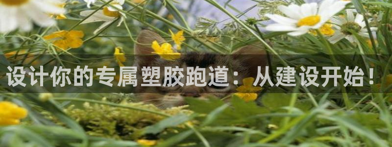 红足1一世足球手机