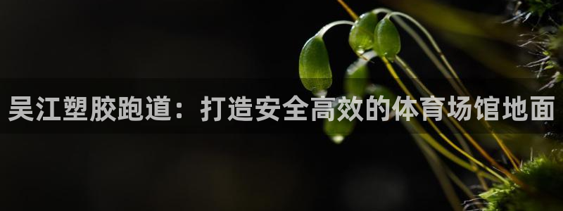 红足一1世手机皇冠