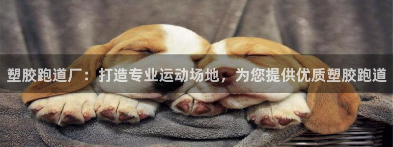 红足一1世手机版赛果
