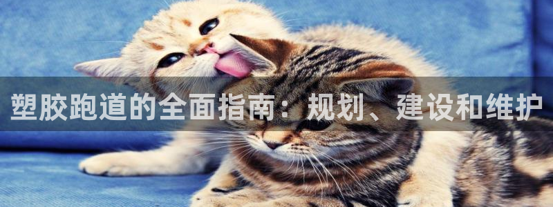 红足一1世皇冠