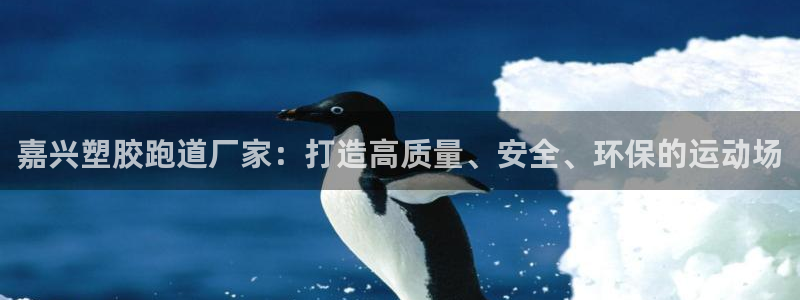 红足一1世66814新宝