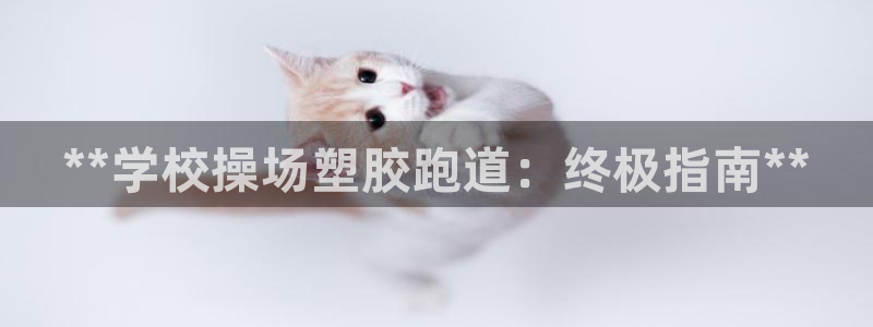 红足1世足球网址
