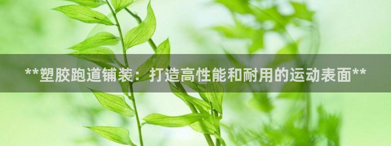 红足网足球直播