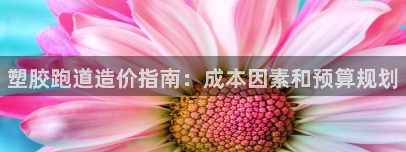 77814红足1世：塑胶跑道造价指南：成本因素和预算规划