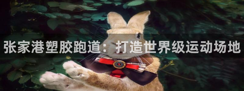 红足 世足球手机网