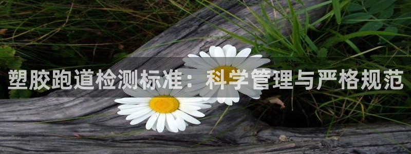 红足一：塑胶跑道检测标准：科学管理与严格规范