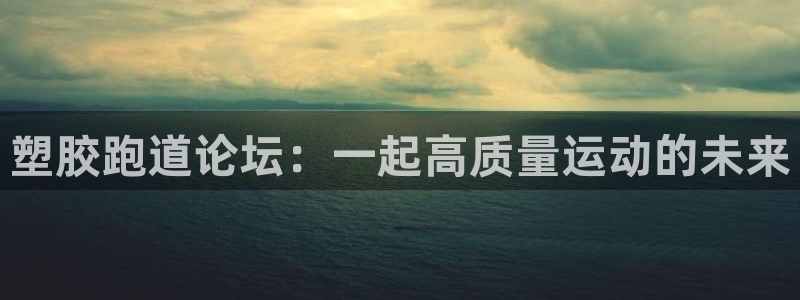 红足足球网：塑胶跑道论坛：一起高质量运动的未来