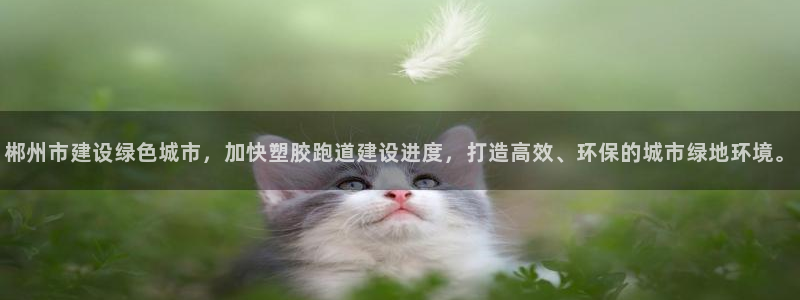 百度红足一1是为什么：郴州市建设绿色城市，加快塑胶跑道建设进度，打造高效、环保的城市绿地环境。
