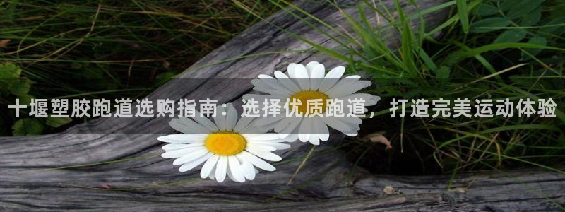 红足一丰：十堰塑胶跑道选购指南：选择优质跑道，打造完美运动体验
