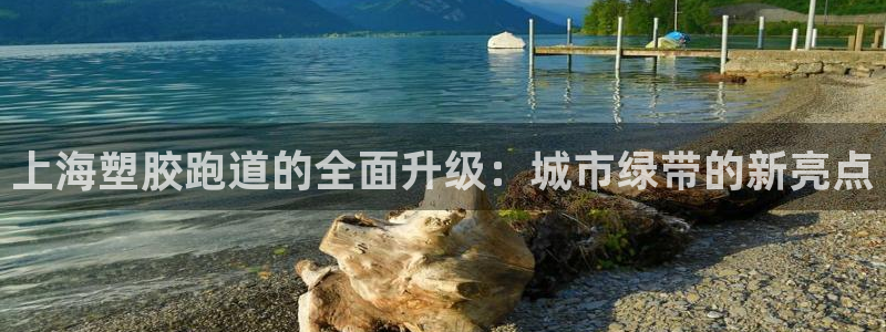 红足一1世比分：上海塑胶跑道的全面升级：城市绿带的新亮点