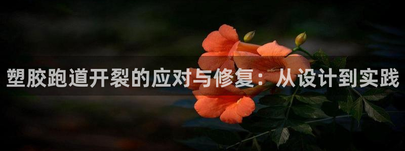 红足一1世皇冠登录：塑胶跑道开裂的应对与修复：从设计到实践