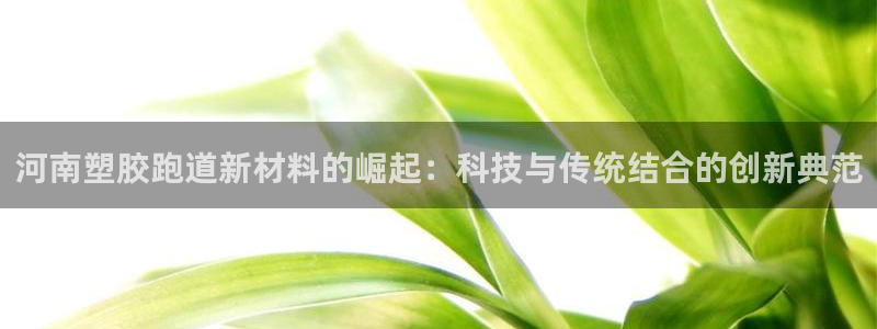 红足1一世：河南塑胶跑道新材料的崛起：科技与传统结合的创新典范