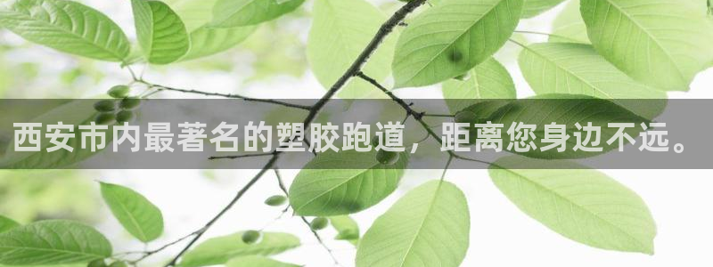 红足1世手足球比分：西安市内最著名的塑胶跑道，距离您身边不远。