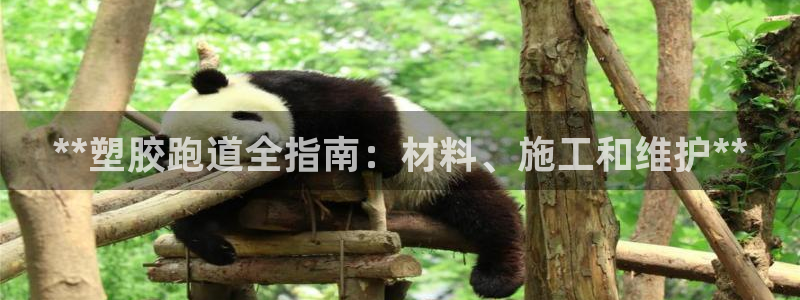 百度红足一1是什么样子的：**塑胶跑道全指南：材料、施工和维护**