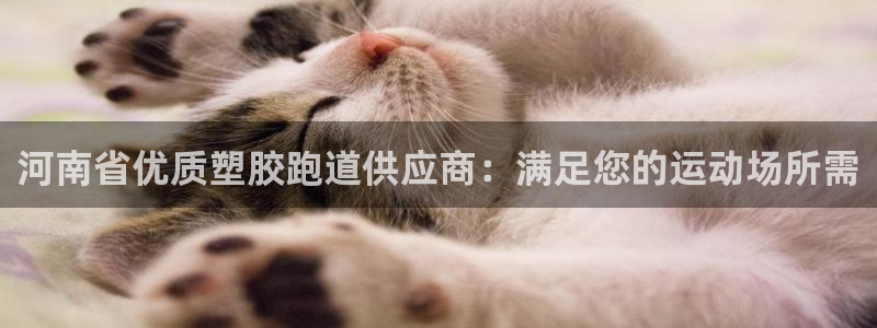 红足1世足球比分 localhost：河南省优质塑胶跑道供应商：满足您的运动场所需