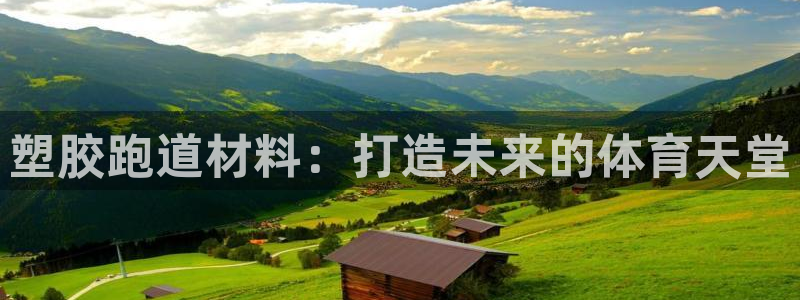 红足一1世皇冠：塑胶跑道材料：打造未来的体育天堂