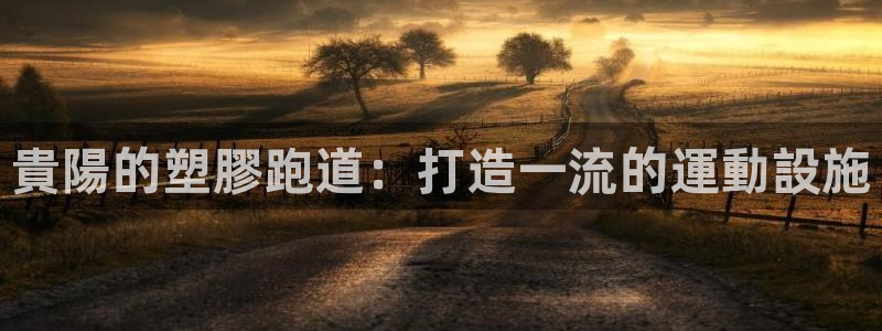 333814红足1世：貴陽的塑膠跑道：打造一流的運動設施