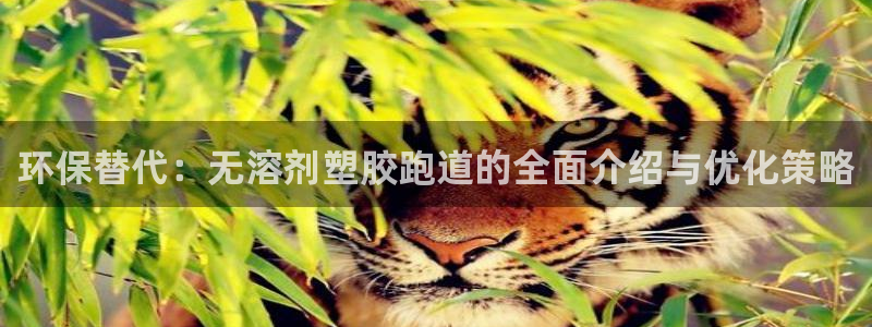 红足一1世官网足球推荐真人：环保替代：无溶剂塑胶跑道的全面介绍与优化策略