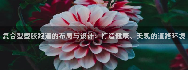 红足1世1站2站管理网：复合型塑胶跑道的布局与设计：打造健康、美观的道路环境
