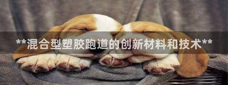 红足1世手机版下载：**混合型塑胶跑道的创新材料和技术**