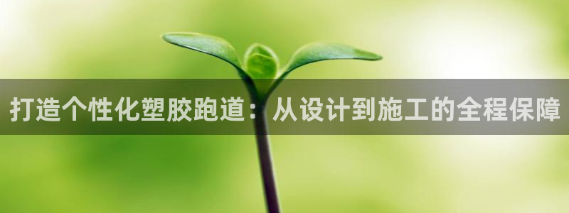 红足一1世官网比分：打造个性化塑胶跑道：从设计到施工的全程保障