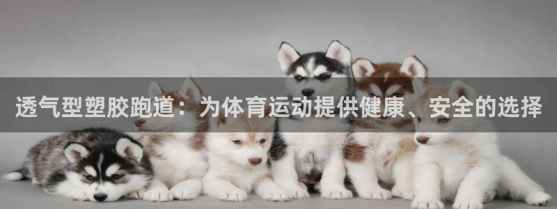 红足一比分网：透气型塑胶跑道：为体育运动提供健康、安全的选择