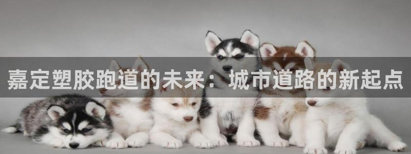 红足1世手机下载：嘉定塑胶跑道的未来：城市道路的新起点