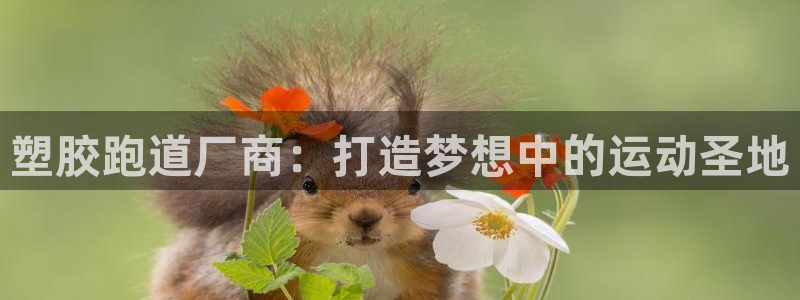 红足1一世开奖版：塑胶跑道厂商：打造梦想中的运动圣地