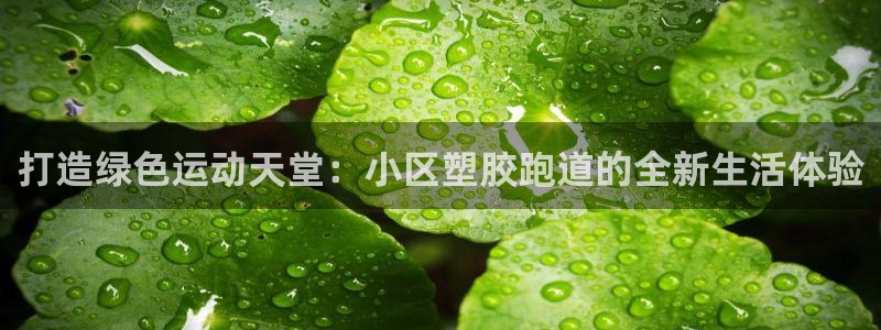 红足网足球直播：打造绿色运动天堂：小区塑胶跑道的全新生活体验