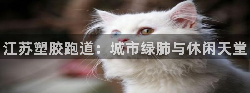 777814红·足一世比分篮球