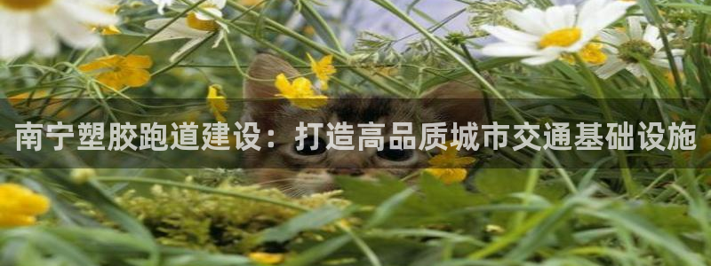 红足1世足球比分网址